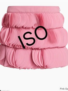 ISO!! AMUR Jazlyn Appliqué miniskirt